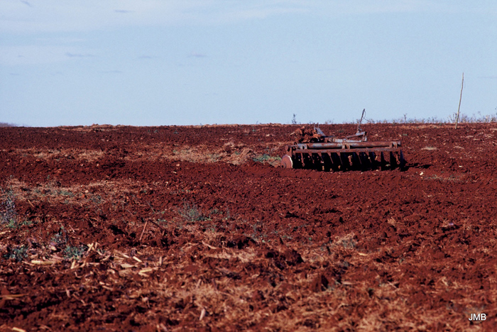 AÑO 1984 - COLOR - VIDA CAMPESINA EN PARAGUAY (JOSÉ MARÍA BLANCH)